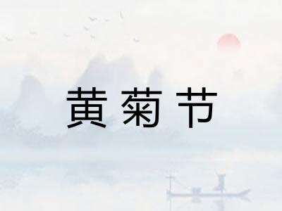 黄菊节 黄菊节