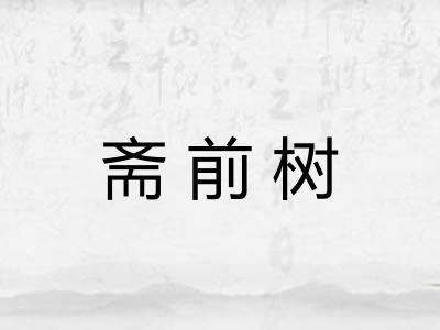 斋前树 斋前树