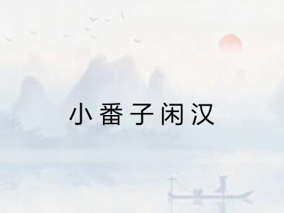 小番子闲汉