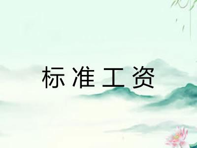 标准工资 标准工资