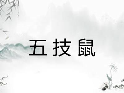 五技鼠 五技鼠