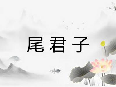 尾君子 尾君子