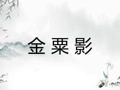 金粟影