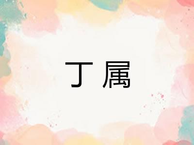 丁属