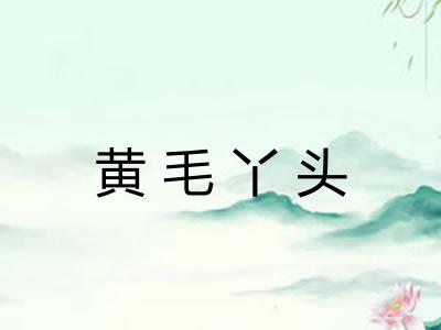 黄毛丫头 黄毛丫头