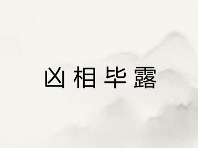 凶相毕露 凶相毕露