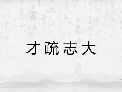 才疏志大 才疏志大