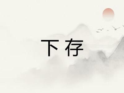 下存 下存
