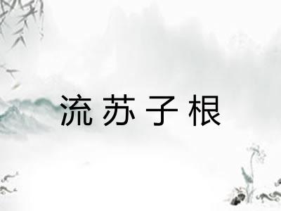 流苏子根 流苏子根