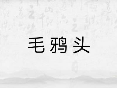 毛鸦头 毛鸦头