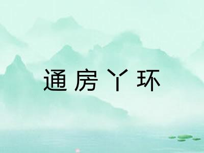 通房丫环 通房丫环