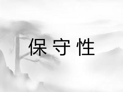 保守性
