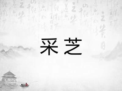 采芝 采芝