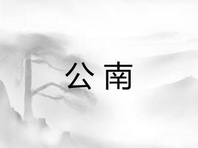 公南