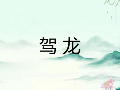 驾龙