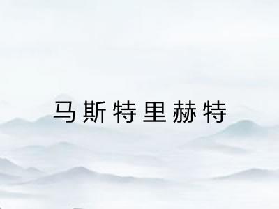 马斯特里赫特 马斯特里赫特