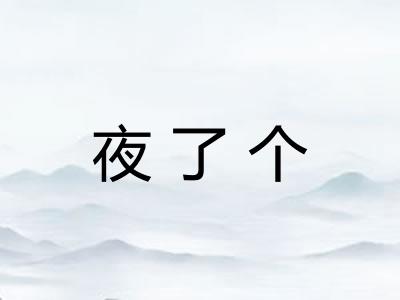 夜了个