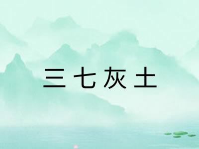 三七灰土 三七灰土