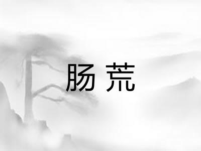 肠荒