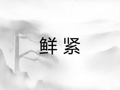 鲜紧 鲜紧