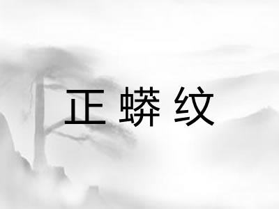 正蟒纹 正蟒纹