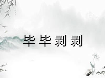 毕毕剥剥