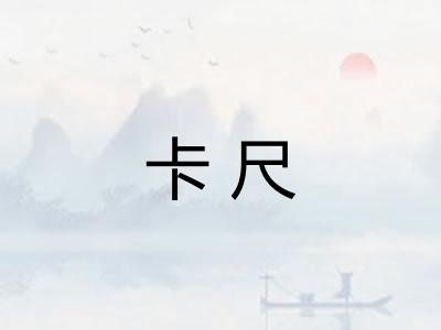 卡尺 卡尺