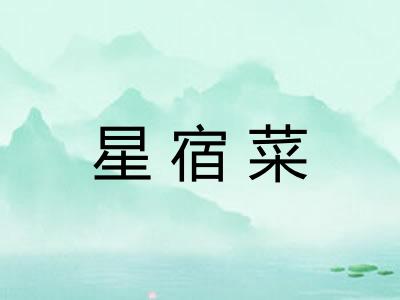 星宿菜