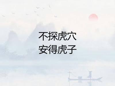 不探虎穴安得虎子 不探虎穴安得虎子