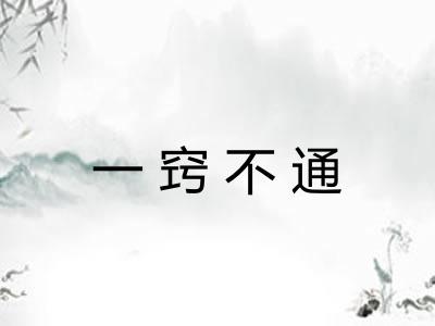 一窍不通 一窍不通