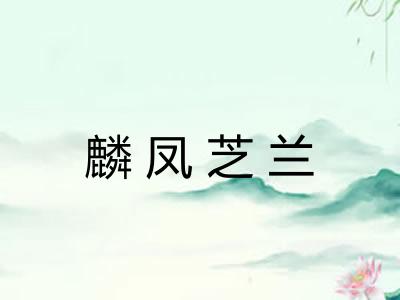 麟凤芝兰 麟凤芝兰