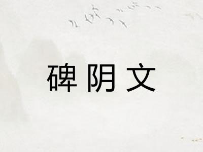 碑阴文 碑阴文