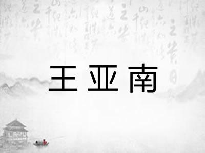 王亚南