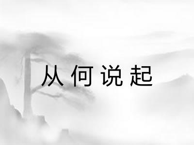 从何说起 从何说起