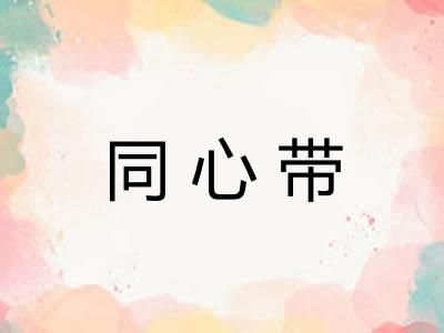 同心带 同心带