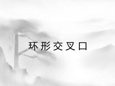 环形交叉口 环形交叉口