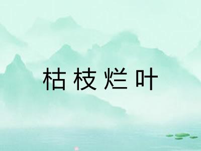 枯枝烂叶 枯枝烂叶