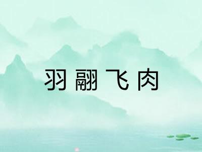 羽翮飞肉 羽翮飞肉