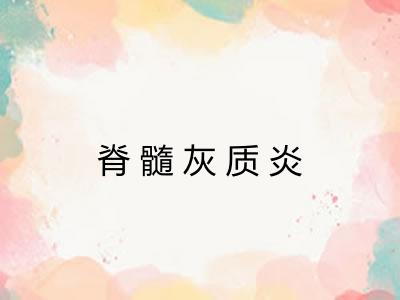 脊髓灰质炎 脊髓灰质炎