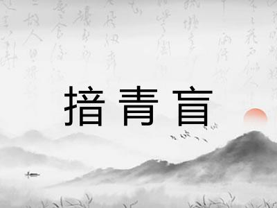 揞青盲 揞青盲