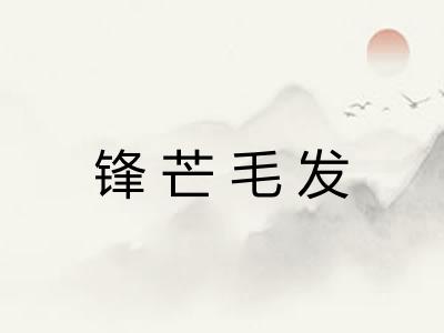 锋芒毛发 锋芒毛发