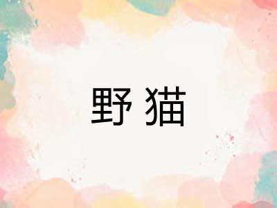 野猫