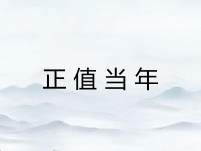 正值当年 正值当年