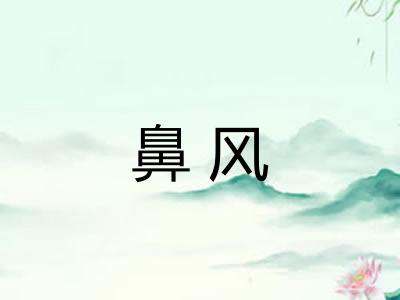 鼻风 鼻风