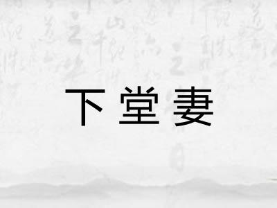 下堂妻