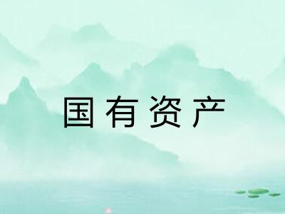 国有资产 国有资产