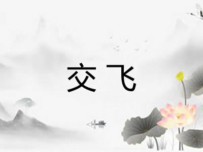 交飞 交飞