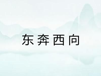 东奔西向