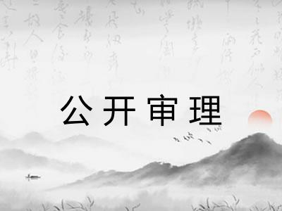 公开审理 公开审理