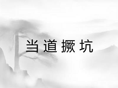 当道撅坑 当道撅坑